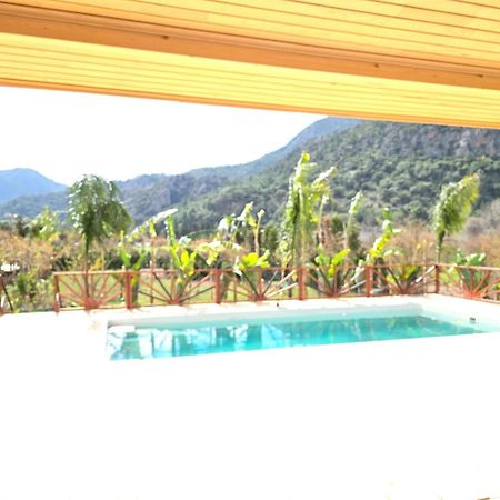 Bellerofon Villa Çıralı Luaran gambar