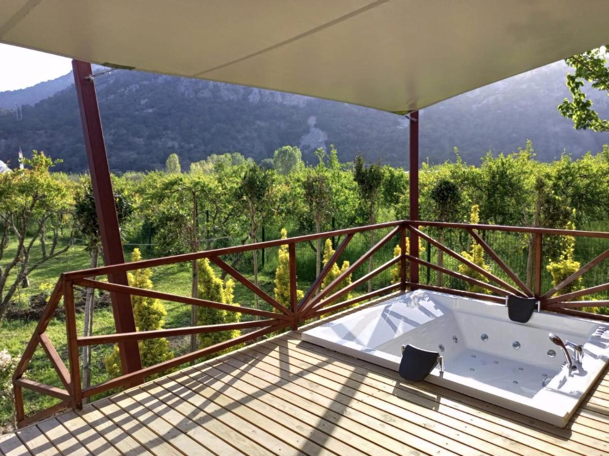 Bellerofon Villa Çıralı Luaran gambar