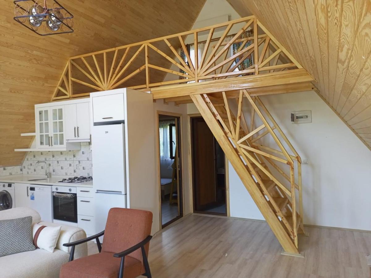 Bellerofon Villa Çıralı Luaran gambar