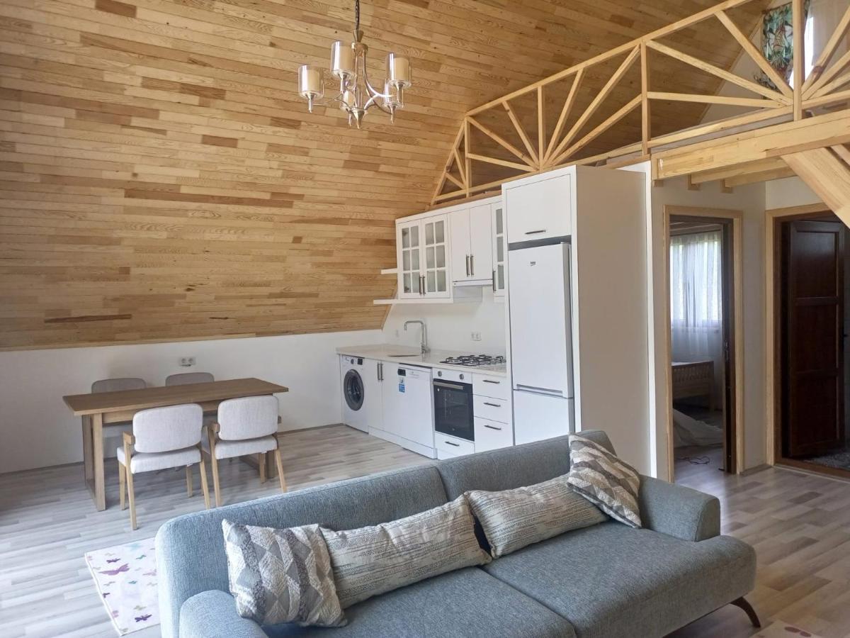 Bellerofon Villa Çıralı Luaran gambar