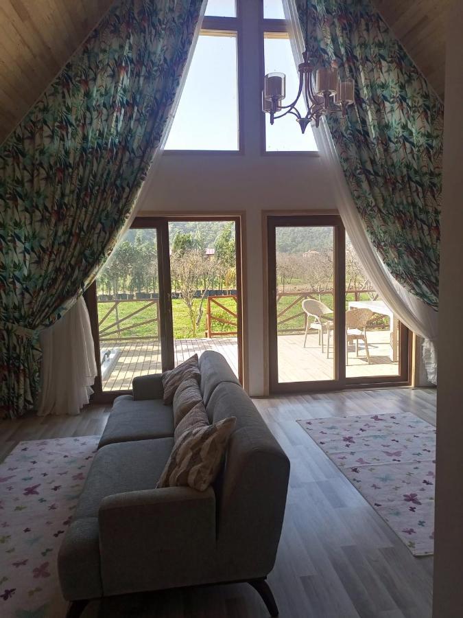 Bellerofon Villa Çıralı Luaran gambar