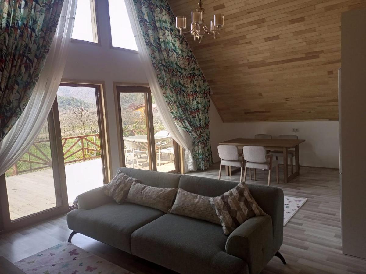 Bellerofon Villa Çıralı Luaran gambar