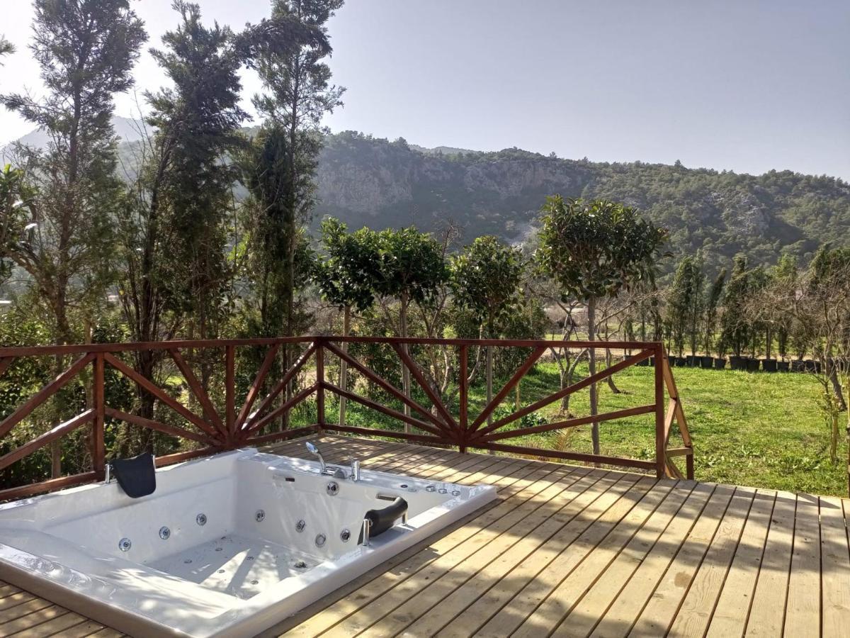 Bellerofon Villa Çıralı Luaran gambar