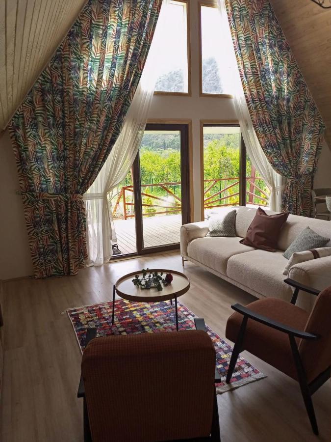 Bellerofon Villa Çıralı Luaran gambar